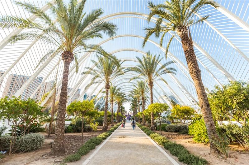 Valencia Museu de les Ciencies